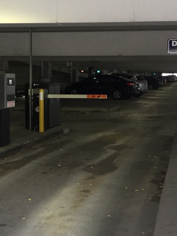 Street view of East Campus - Halsted/Taylor Parking Structure