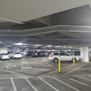 Seattle visual data 6