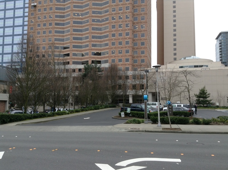 Street view of 106th Ave NE Lot