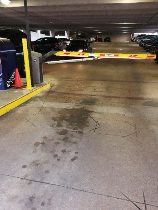 Street view of 1407 Union Garage