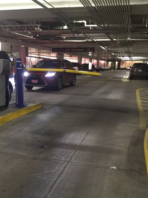 Street view of Loblaws Maple Leaf Gardens Parking