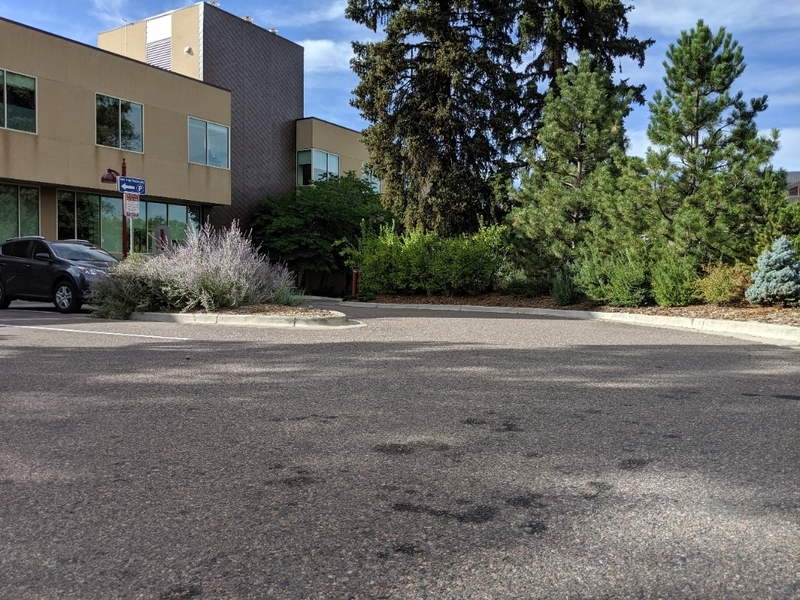 Street view of University Library: Lot 315