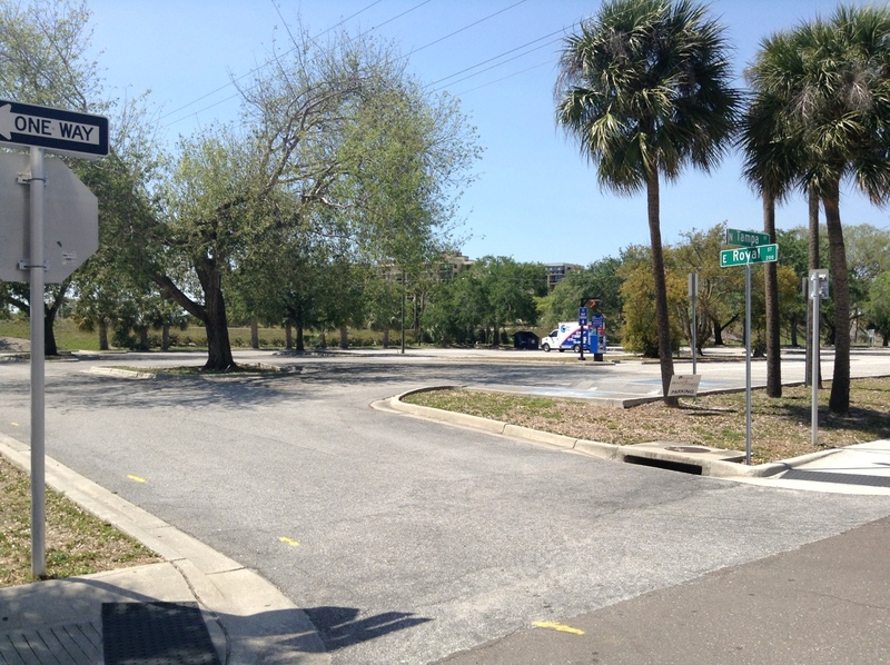 Street view of Regional-Royal Lot