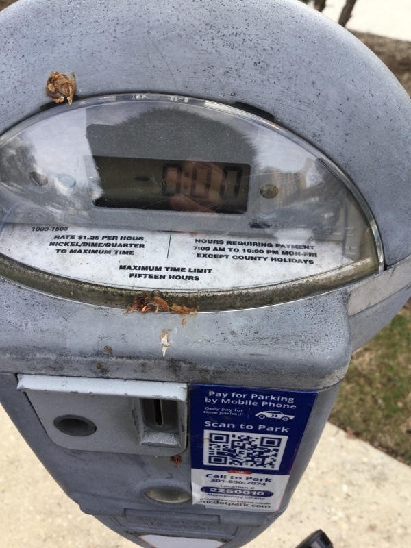 Street view of Lot 25 - Maple Avenue Lot