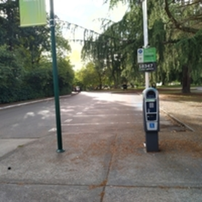 Street view of Bear Lot