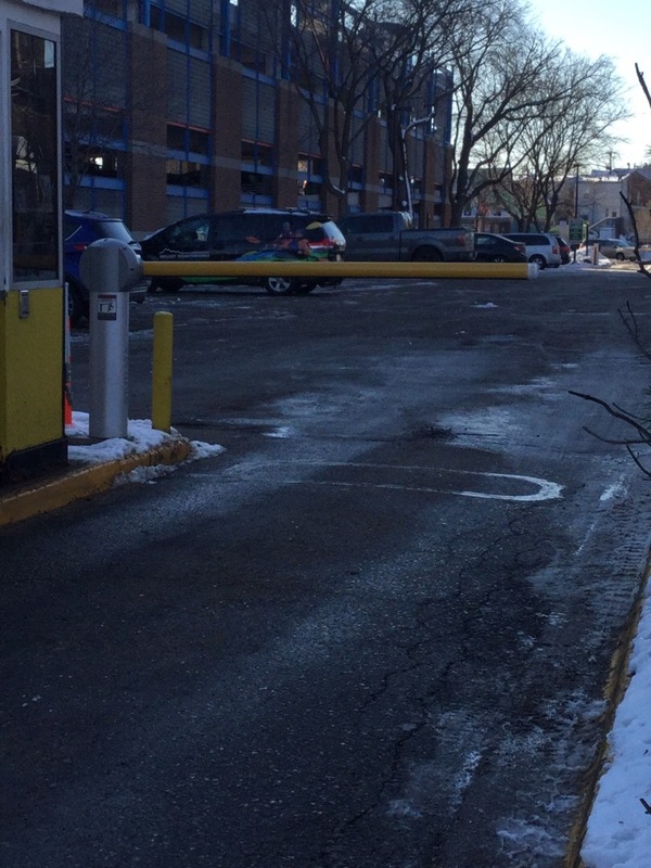 Street view of Cedar Lot