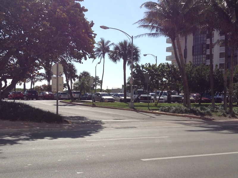 Street view of Lot P81