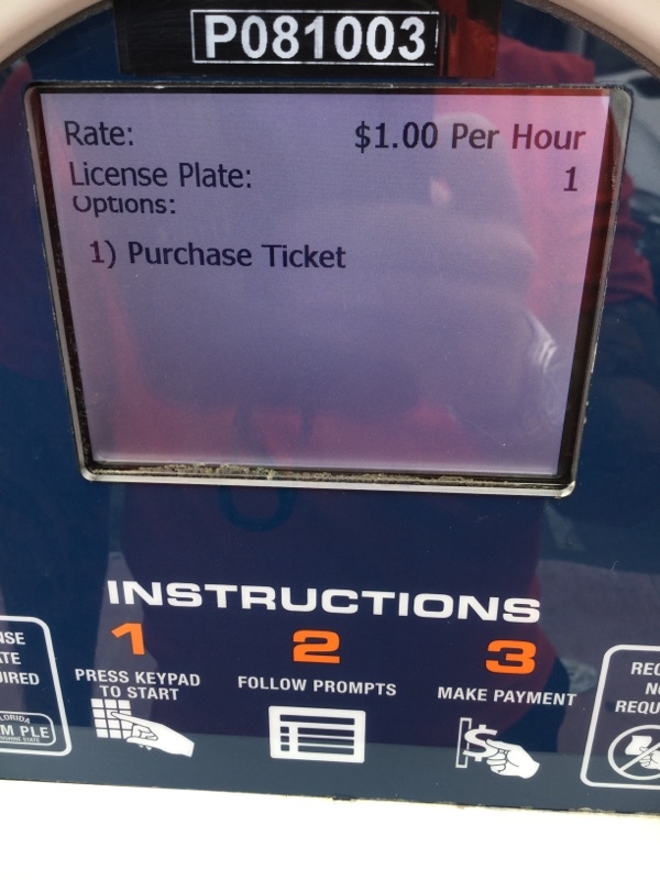 Street view of Lot P81