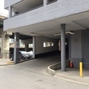 rogers centre parking｜TikTok Search