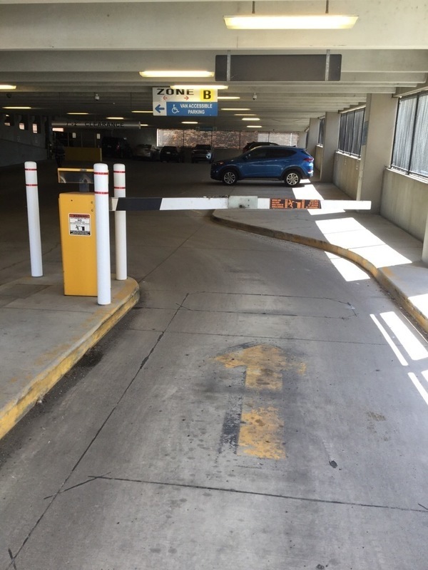 Street view of Woodward Gardens