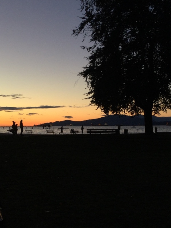 Street view of Lot 66 - Kitsilano Cornwall