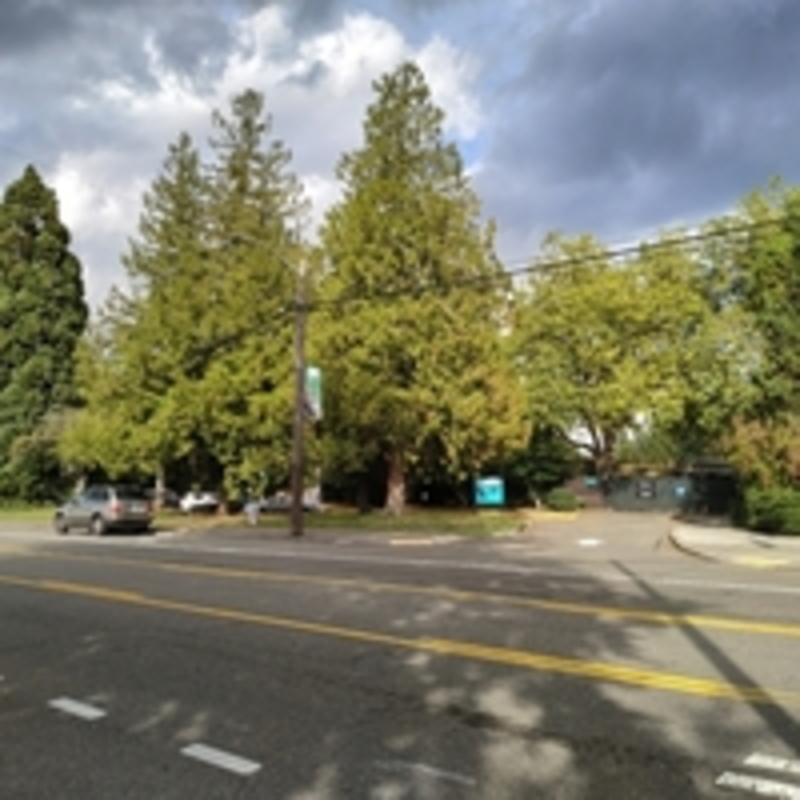 Street view of Penguin Lot