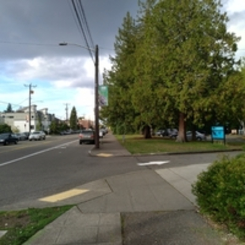 Street view of Penguin Lot