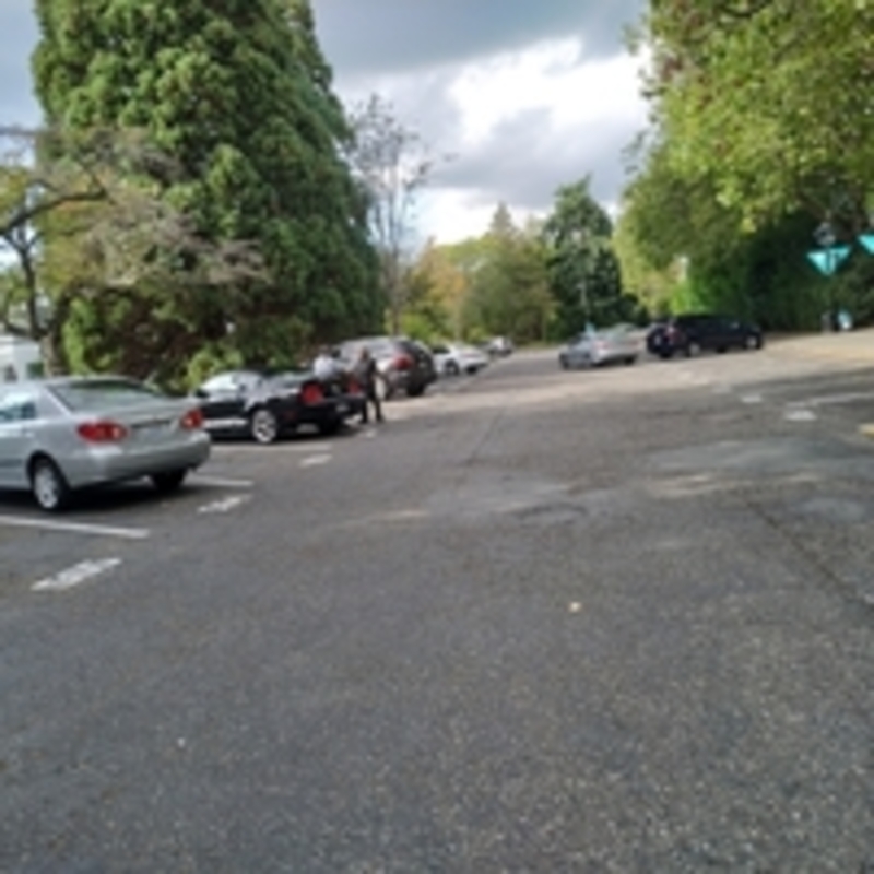 Street view of Penguin Lot