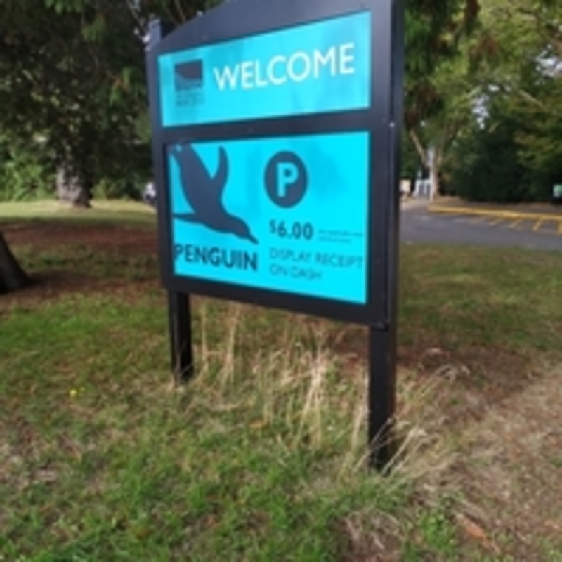 Street view of Penguin Lot