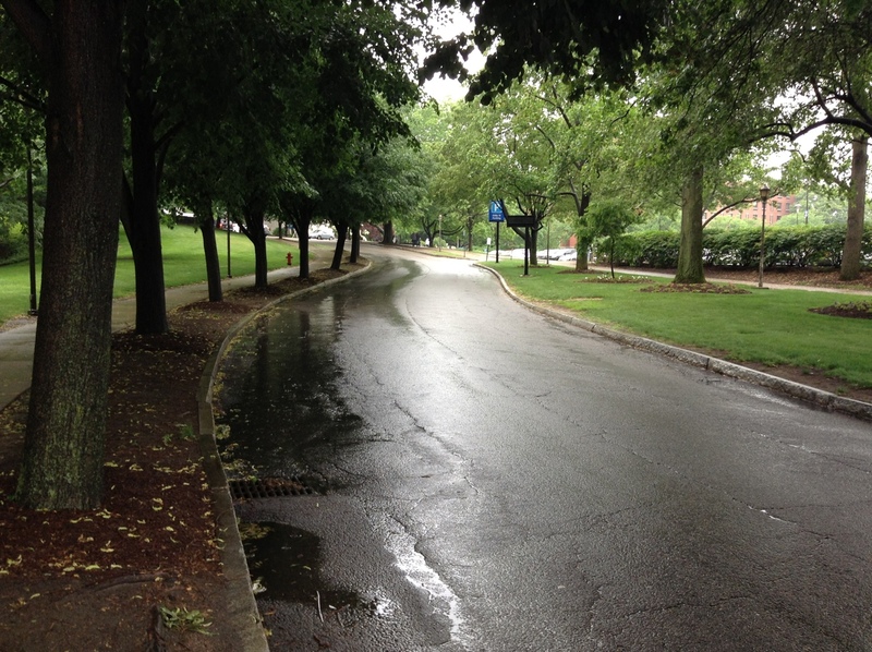 Street view of Eddy St Lot