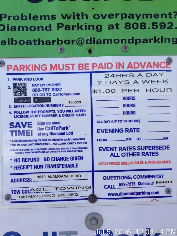 Street view of Holomoana St. Lot