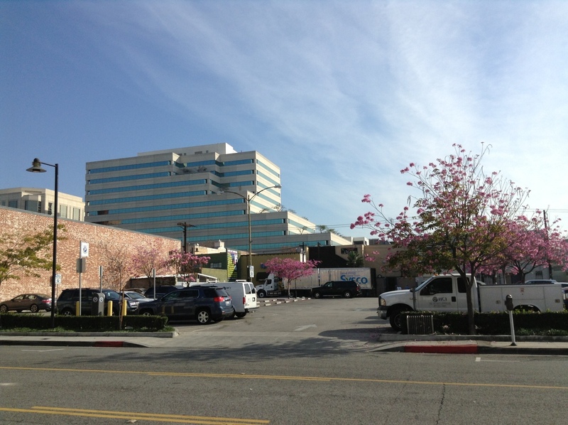 Street view of Lot 6