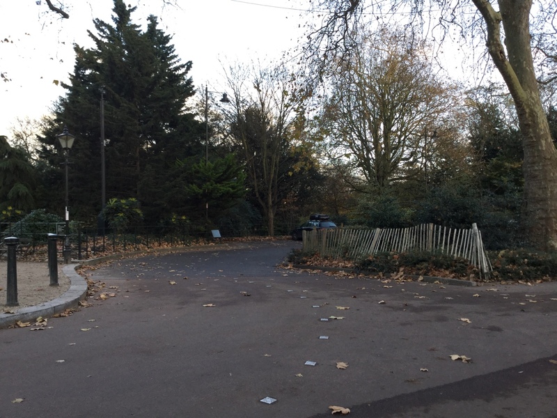 Street view of Battersea Park Lot